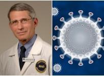 Anthony Fauci coronavirus