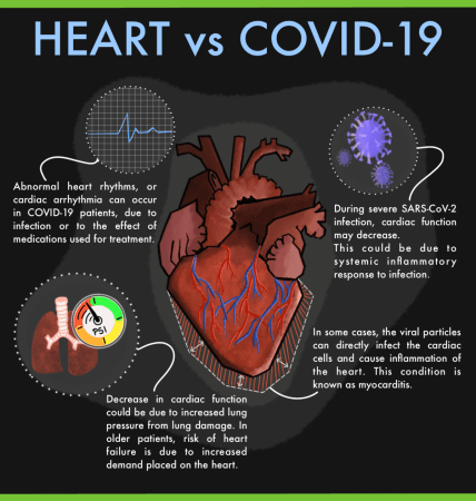 Effect of COVID-19 on the heart (Representational Picture) Heart COVID-19
