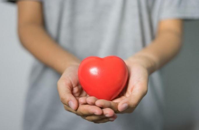 Heart (Representational Picture) Heart