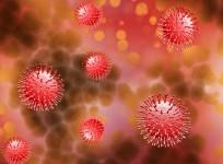 Novel Coronavirus