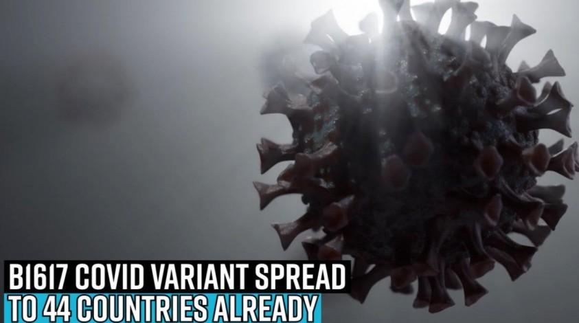 Indian strain of COVID spread to 44 countries already: WHO Indian strain of COVID spread to 44 countries already: WHO