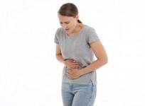 Stomach