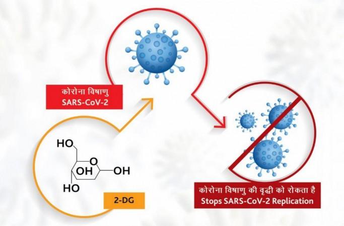 Action of 2-DG against SARS-CoV-2 2-DG coronavirus