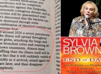 Sylvia brownie