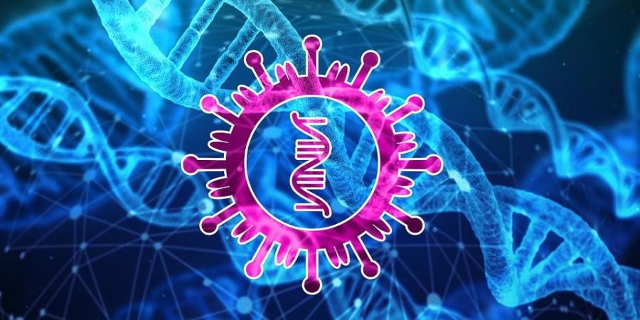 COVID-19 (Representational Picture) SARS-CoV-2 Coronavirus