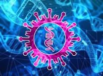 SARS-CoV-2 Coronavirus