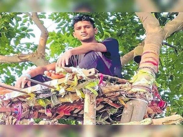 Ramawat Shiva Naik: Covid positive Telangana youth spends 11 days on tree covid isolation