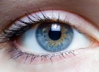 Eyes