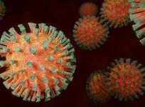 SARS-CoV-2 Coronavirus