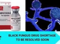 Black fungus mucormycosis Amphotericin-B shortage