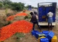 A video grab from the recent tomato dumping incident at Kolar