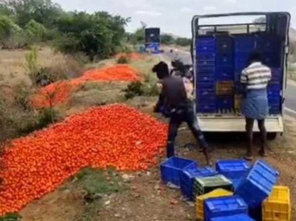 No takers for tomatoes? A screenshot of the recent viral video of two farmers throwing away tomatoes at Kolar A video grab from the recent tomato dumping incident at Kolar