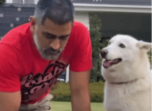 MS Dhoni MS Dhoni