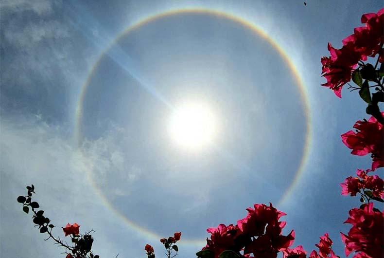 Ring Around the Sun: What Causes It? | The Epoch Times