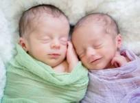 newly born
