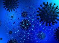 SARS-CoV-2 Coronavirus