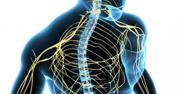 neurological and musculoskeletal impairments