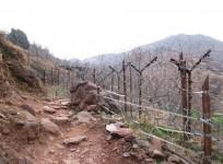Fencing on LoC
