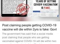 fake