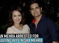 Karan Mehra arrested for assaulting wife Nisha Mehra