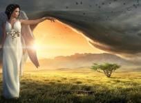 angel
