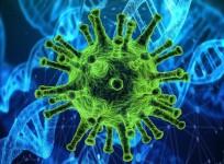 SARS-CoV-2 Coronavirus