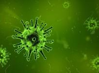 covid-19 vaccination