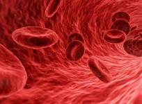 Red Blood Cells