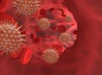 COVID-19 Blood Stream