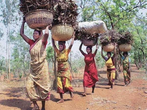 tribals
