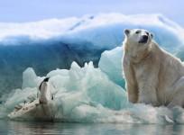 Antarctica