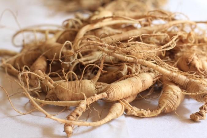 Ginseng root (Representational Picture) Ginseng Root