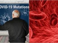 Covid mutation in human body