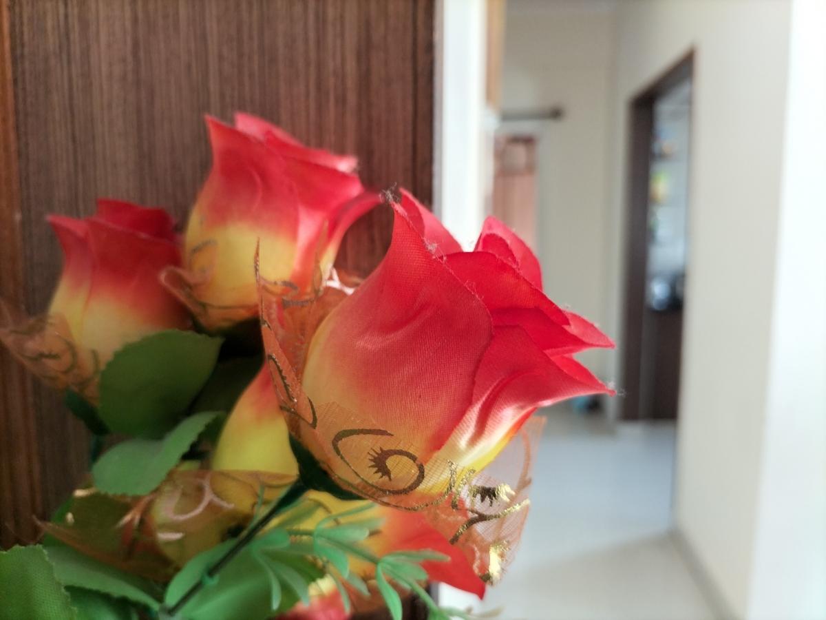 Oppo F19 camera sample