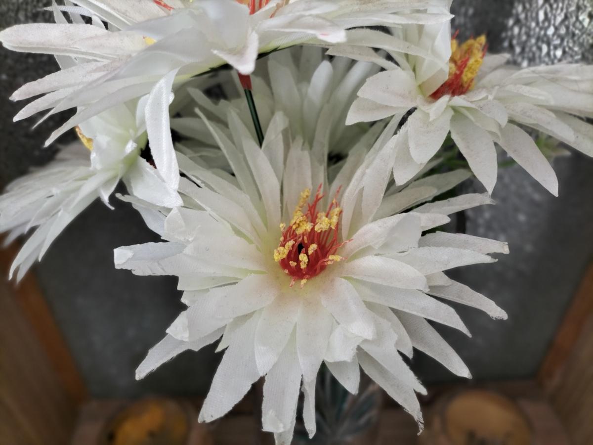 Oppo F19 camera sample