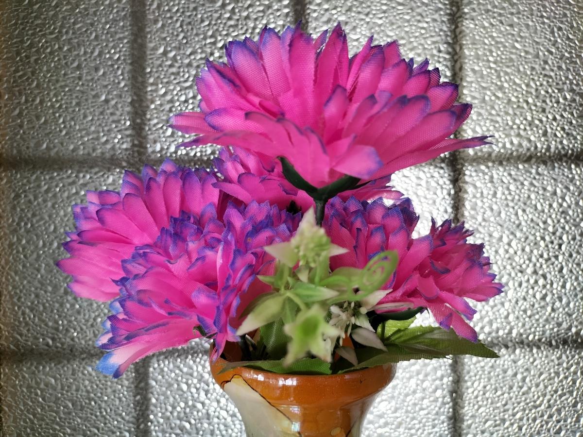 Oppo F19 camera sample