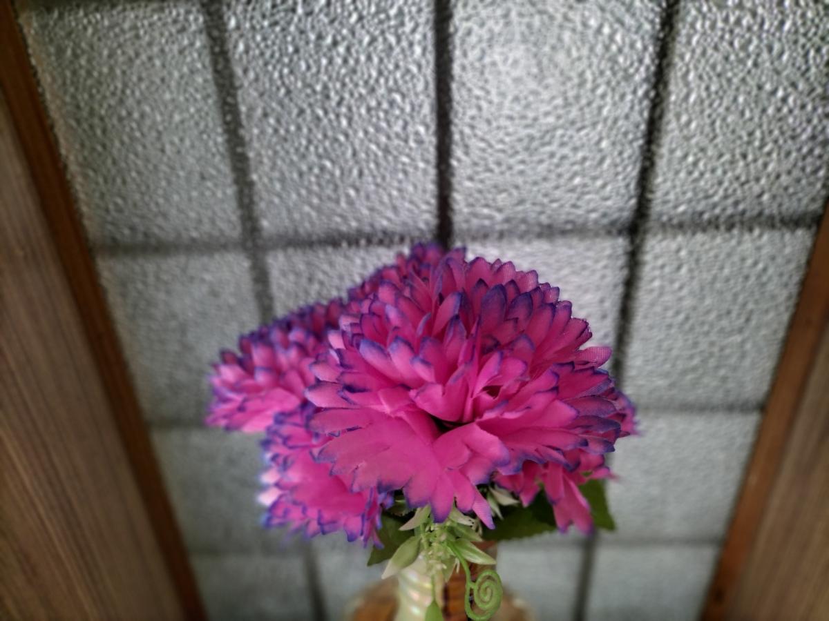 Oppo F19 camera sample
