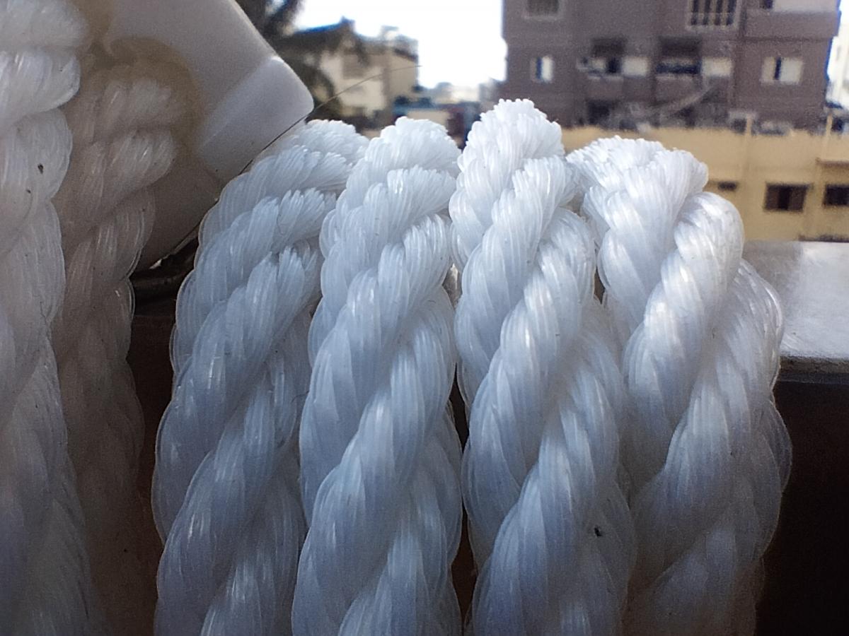 Oppo F19 camera sample