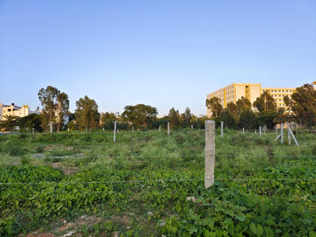 iQoo 7 camera sample iQoo 7 camera sample