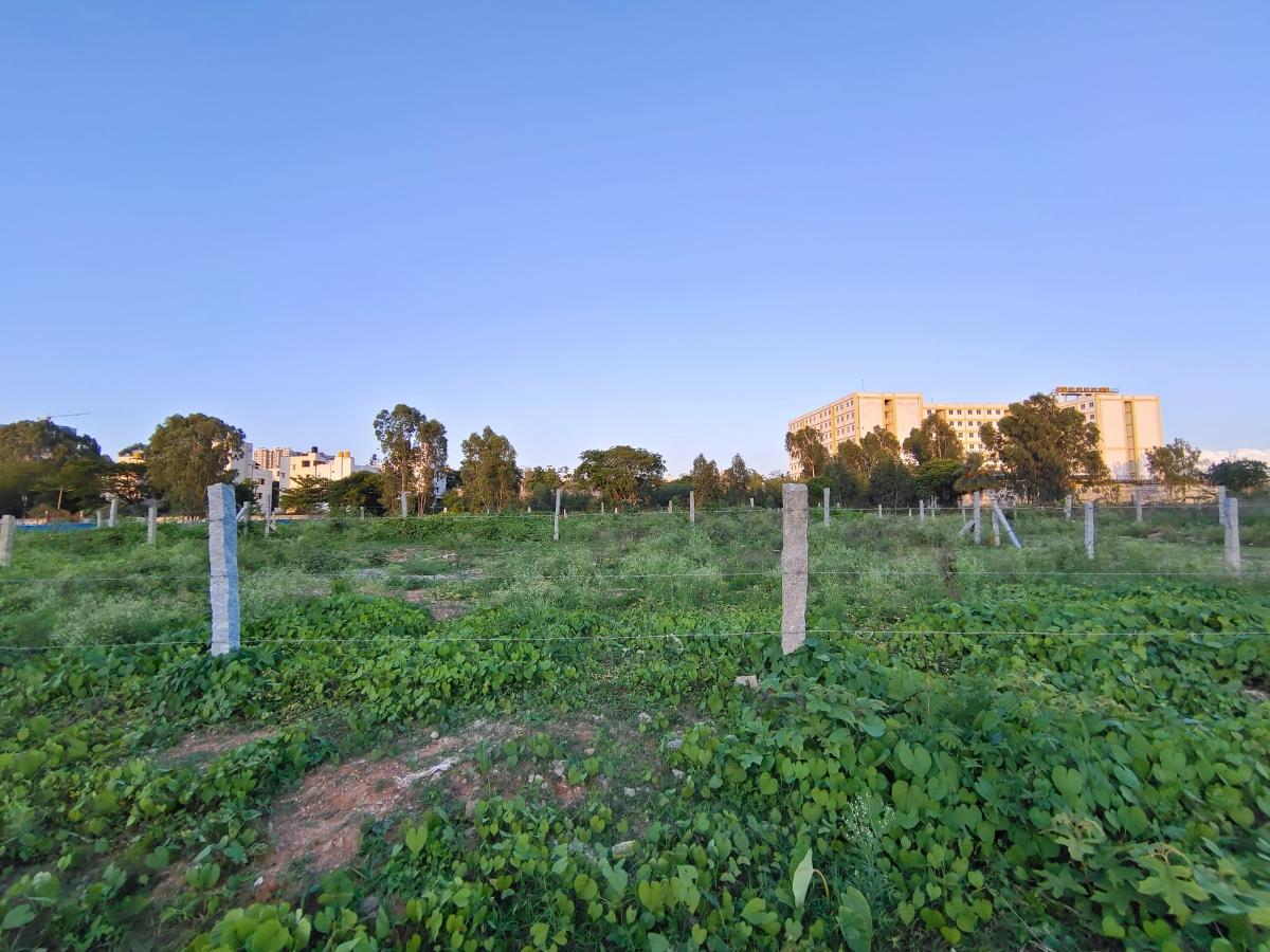 iQoo 7 camera sample iQoo 7 camera sample