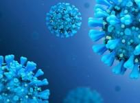SARS-CoV-2 Coronavirus