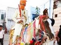 Dalit youth seeks police protection to ride horse at wedding