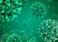 SARS-CoV-2 Coronavirus