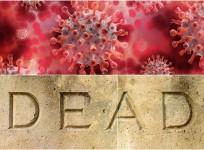 Covid deaths in Kerala