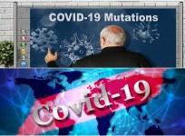 Covid Delta Plus variant