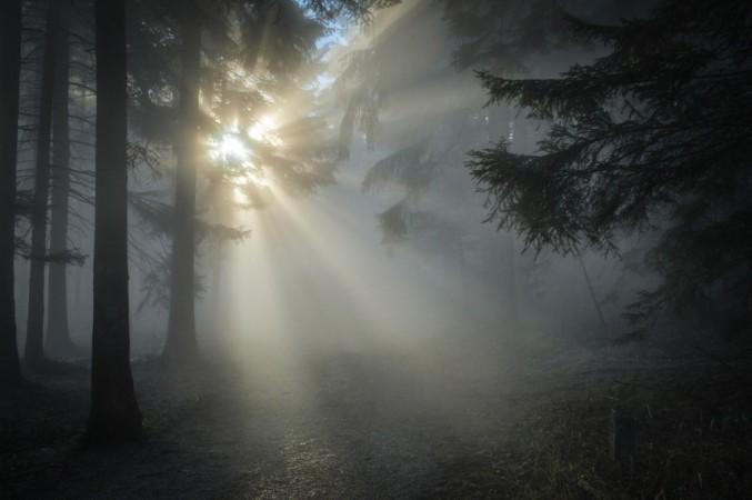 Foggy weather