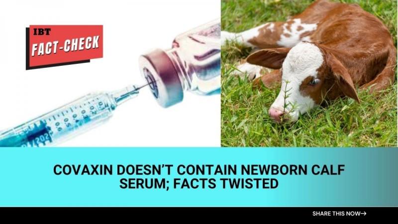 Covaxin doesn't contain newborn calf serum