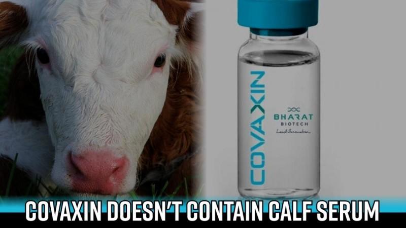 Covaxin doesn't contain calf serum