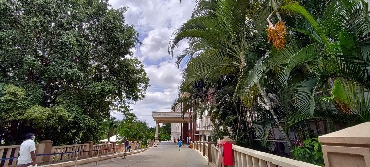 OnePlus Nord CE 5G camera sample: