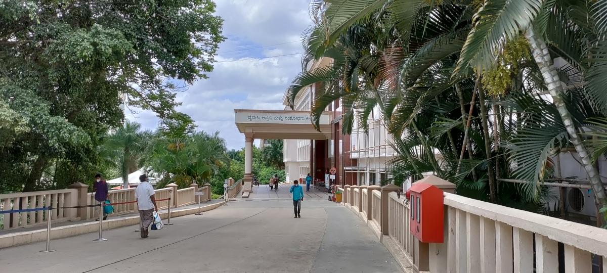 OnePlus Nord CE 5G camera sample: